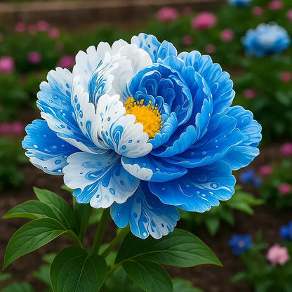FloraPeony – Plants Pivoines Vivaces Très Grandes Fleurs Bouquets