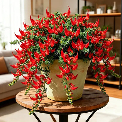 ParrotBloom – Les bulbes de fleurs uniques en bec de perroquet